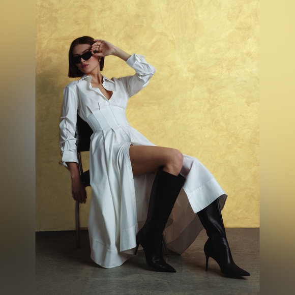 Alice + Olivia Dresses & Skirts - Alice Olivia EDIE CORSET BUTTON DOWN MIDI DRESS $550 NEW without tag